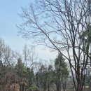 숲에온 환경 | 아이와 조용한 힐링 나들이, 효창공원 다녀온 후기