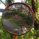 매리앤스가든민박 이미지