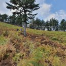 적량보건진료소 이미지