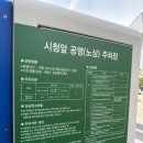 페티포티