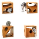 고양이 놀이터 이미지