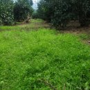 하린농장 이미지