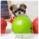 이쁨 네이버블로그