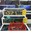 활어회포장 이미지