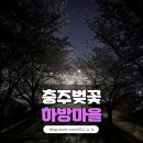 하방천변길 | [충주 명소 하방마을] 벚꽃송이가~ 피었구나🌸