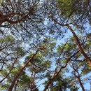 파스쿠찌 금오산점 | 금오산 산책 파스쿠찌 구미금오산점 리모델링 방문 후기