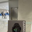 970 | [내돈내산] 나고야 출장에서 지른 가민 포러너 970! 255에서 갈아탄 솔직 후기(ft. 970 언박싱)