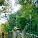 아양사랑숲 이미지