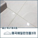 삼덕건재 - 중구 유천로 30 | 매곡에뜰3차 신축아파트 울산 북구 줄눈업체 후기