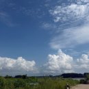 선재도풍경펜션 | 선재도 숙소/펜션추천, 선재도 블랑펜션 이용후기