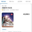 유채꽃길에 머문시간 | [제주여행ing] 부모님제주여행일지, 붉은산오름,굼산부리,에코랜드, 비자림, 코델리아리조트숙박