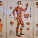 국가대표안마지압원 이미지