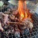 지수농원