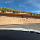 안티노리 | Antinori Rinuccio 1180 안티노리 와이너리 레스토랑 리누치오 예약 방법 및 후기