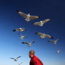 자연-문명-인간 이미지