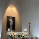 논현2동-8 이미지