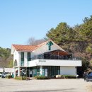 금성애견 이미지