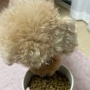 멍이로움 이미지