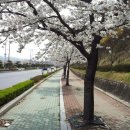 경북대학교 캠퍼스 이미지