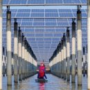 다한 태양광발전소 이미지