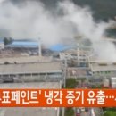 노루표페인트 이미지