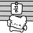 플라워케이크세렝