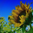 전국민원대행 행정사법인 이미지