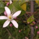 (주)맘스팜 이미지