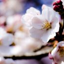 사계절미용실 - 김천시 | 사계절미용실