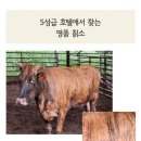 우성한우농장 이미지