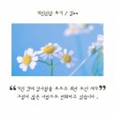 선의힐링센타