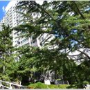 구민운동장(이동) 이미지