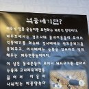 넉둥베기고사리육개장 이미지