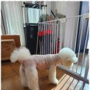 오늘도 예쁘개 이미지