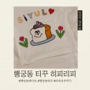 피와피 | 수원｜행궁동 티꾸 히피리피 내돈내산후기