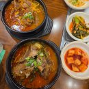 [오션월드] 얼리썸머패키지 2인 후기, 비발디파크 소노벨D 호텔(슈페리어 파크뷰/킹트윈) 후기, 셔틀...