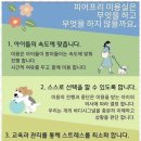 펫러버 그루밍 이미지