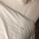 미라지(MRG) 네이버블로그
