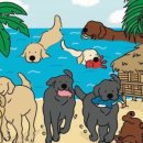 벌곡 멍발리 이미지