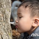 미산1리고로쇠마을 이미지