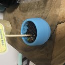 제이네집 이미지