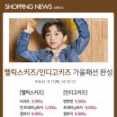 올리비아로렌대전 이미지