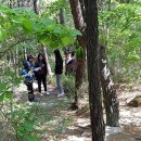 구운중학교 이미지