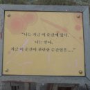 2010. 여름휴가...전남 신안군 증도....태평염전, 염생식물원 이미지