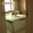 또또농장 이미지