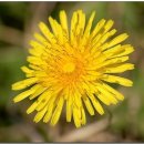 삼라만상 이미지