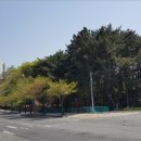 양덕동583 이미지
