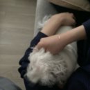 소시루왕만두 | 토마토 한 알!