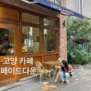 페이드다운