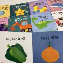붕붕나라 | 아기책육아: 돌아기 소전집 아기똥그림책/그린키즈 붕붕씽씽 탈것 핸드북 내돈내산 후기